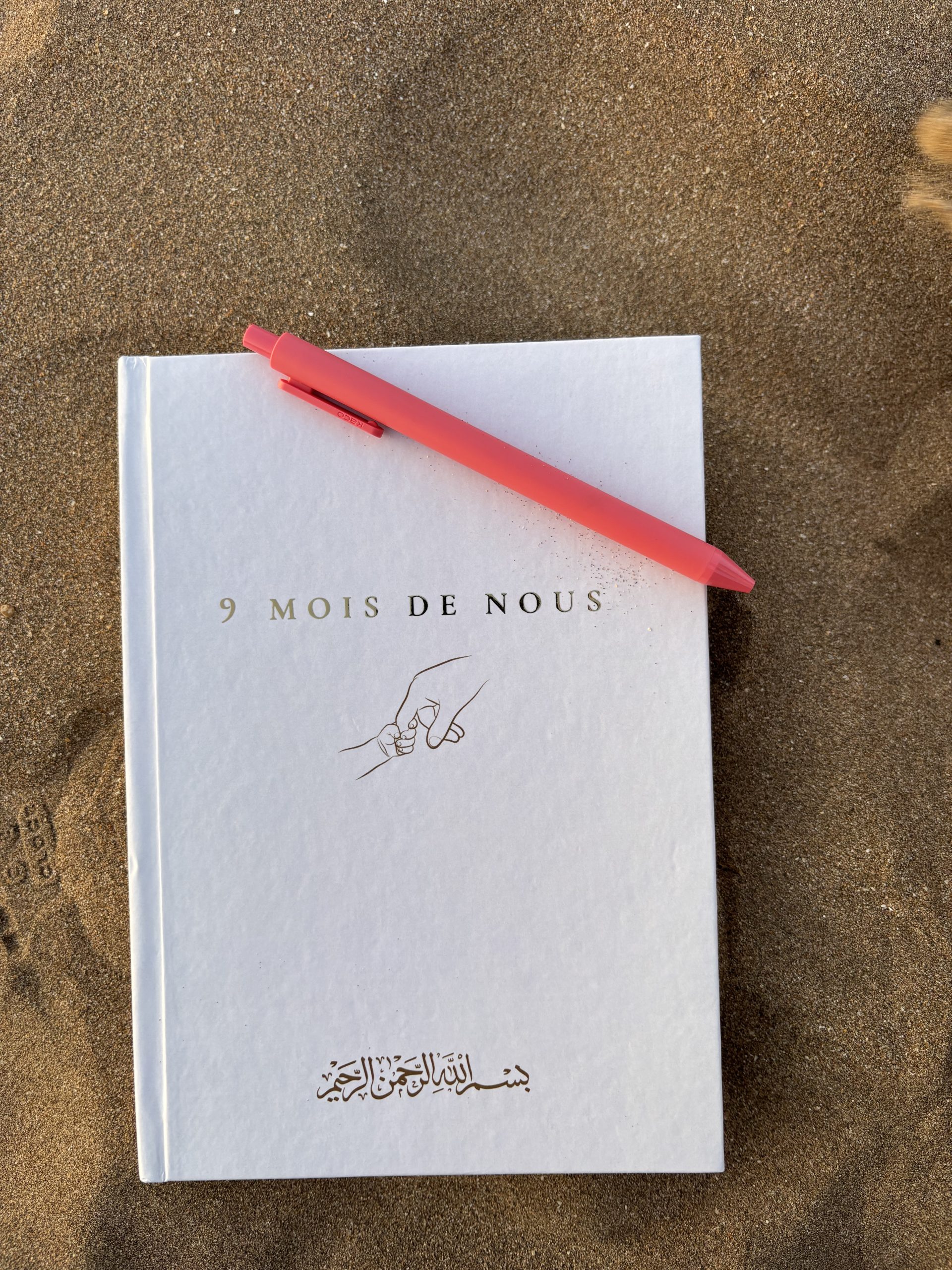 Carnet de grossesse – Image 4