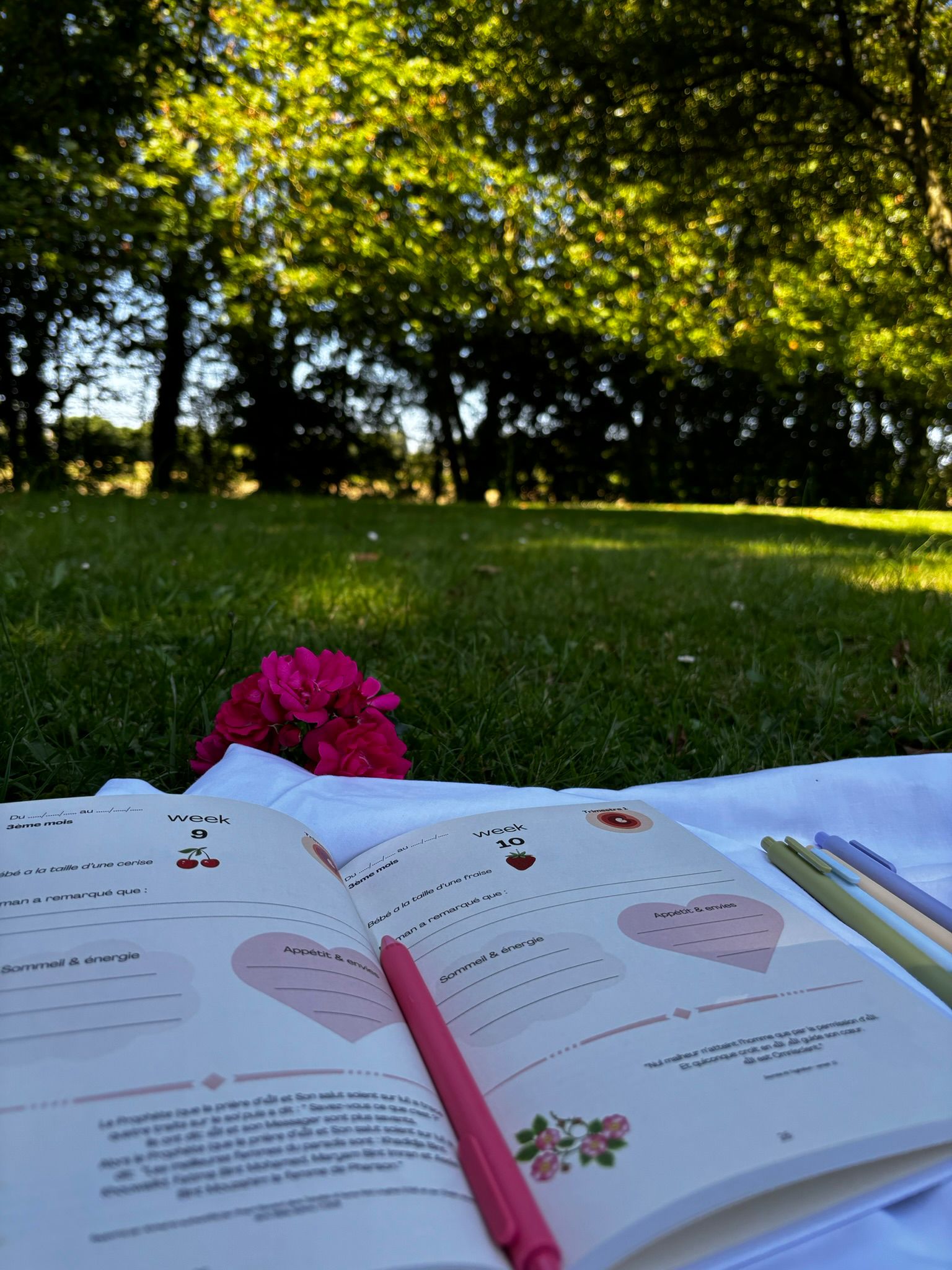 Carnet de grossesse – Image 3